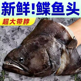 格陵兰深海野生鲽鱼头鸦片鱼头比目鱼头新鲜冷冻碟鱼商用海鲜批发
