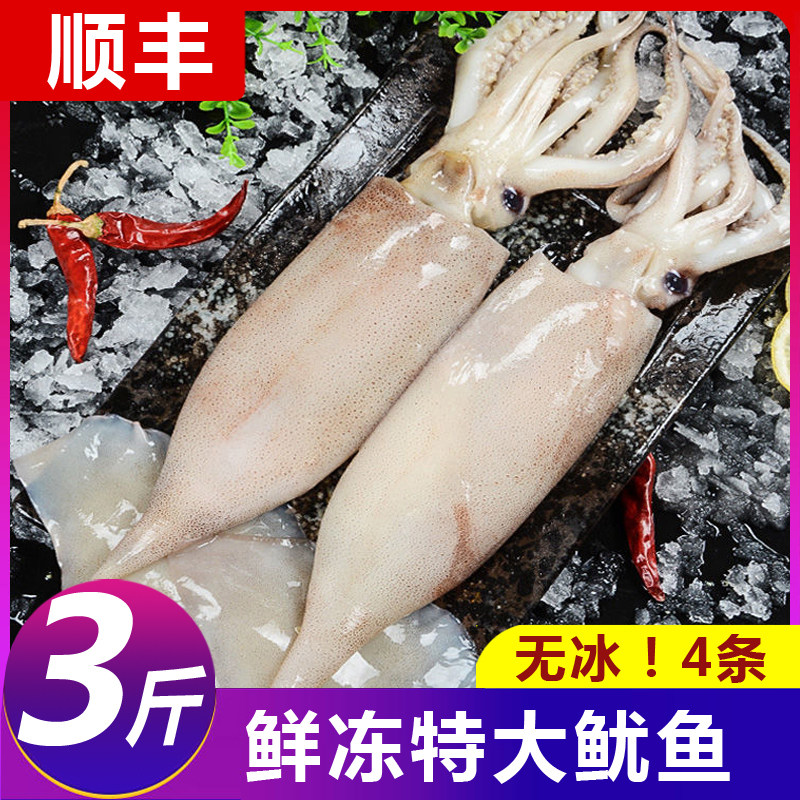 鱿鱼鲜活新鲜超大鱿鱼须生鲜火箭铁板烧烤海鲜冷冻尤鱼串花头顺丰