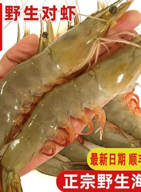 野生青岛大虾鲜活超大冻虾特大青虾白虾冷冻虾类海鲜水产单冻对虾
