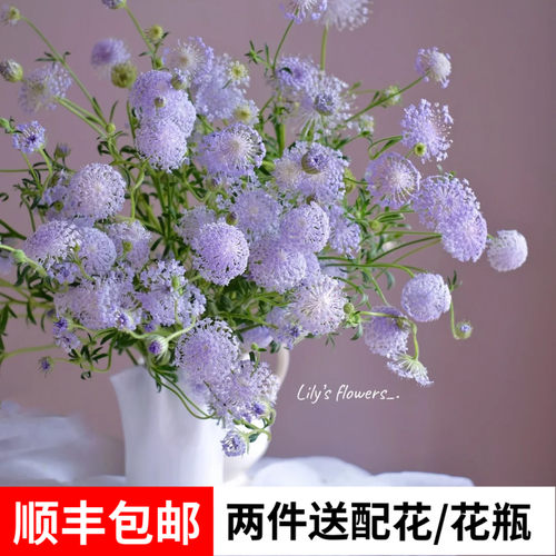 翠珠花云南鲜花基地直发鲜切花家用水养插花花束同城速运顺丰冷链