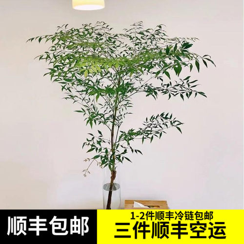 南天装饰质量怎么样 南天装饰口碑怎么样 小麦优选 南天装饰质量怎么样 南天装饰口碑怎么样 小麦优选