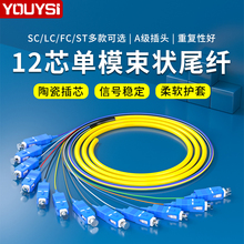 YOUYSI 12芯束状尾纤SC方头单模光纤跳线电信级可订做FC束状尾纤ST束状尾纤带状尾纤