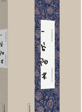 正版包邮世纪经典文丛:一片阳光书籍正版