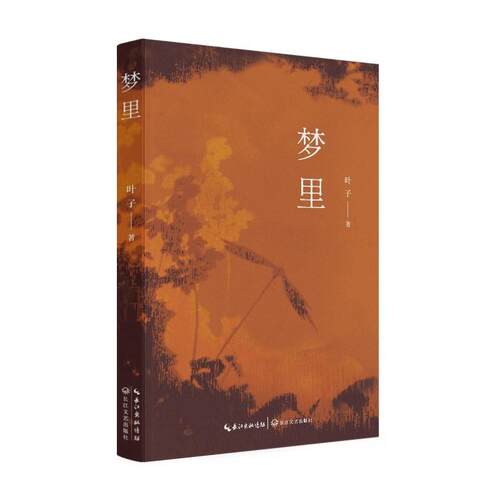 正版包邮梦里书籍正版