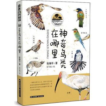 正版包邮自然真奇妙：神奇鸟类在哪里图书书籍