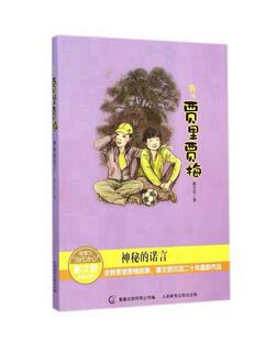 正版包邮神秘的诺言书籍正版