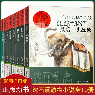 沈石溪动物小说画本全10册第七条