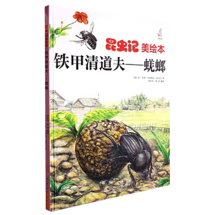 硬壳硬皮 6岁儿童阅读 亲子阅读幼儿早教启蒙科普绘本 蜣螂 昆虫绘美绘本铁甲清道夫 铁甲清道夫 儿童绘本昆虫科普百科精装