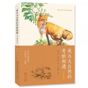 正版包邮我与大自然的奇妙相遇：寻觅兽类 （彩绘版）书籍正版