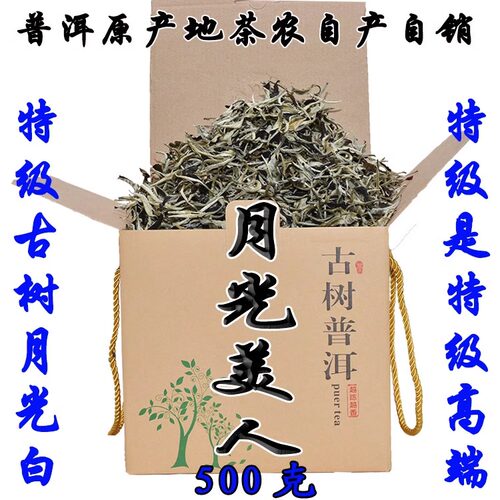 景谷白茶正宗月光白秧塔月光美人古树茶2025年明前春茶直销500克 - 封面
