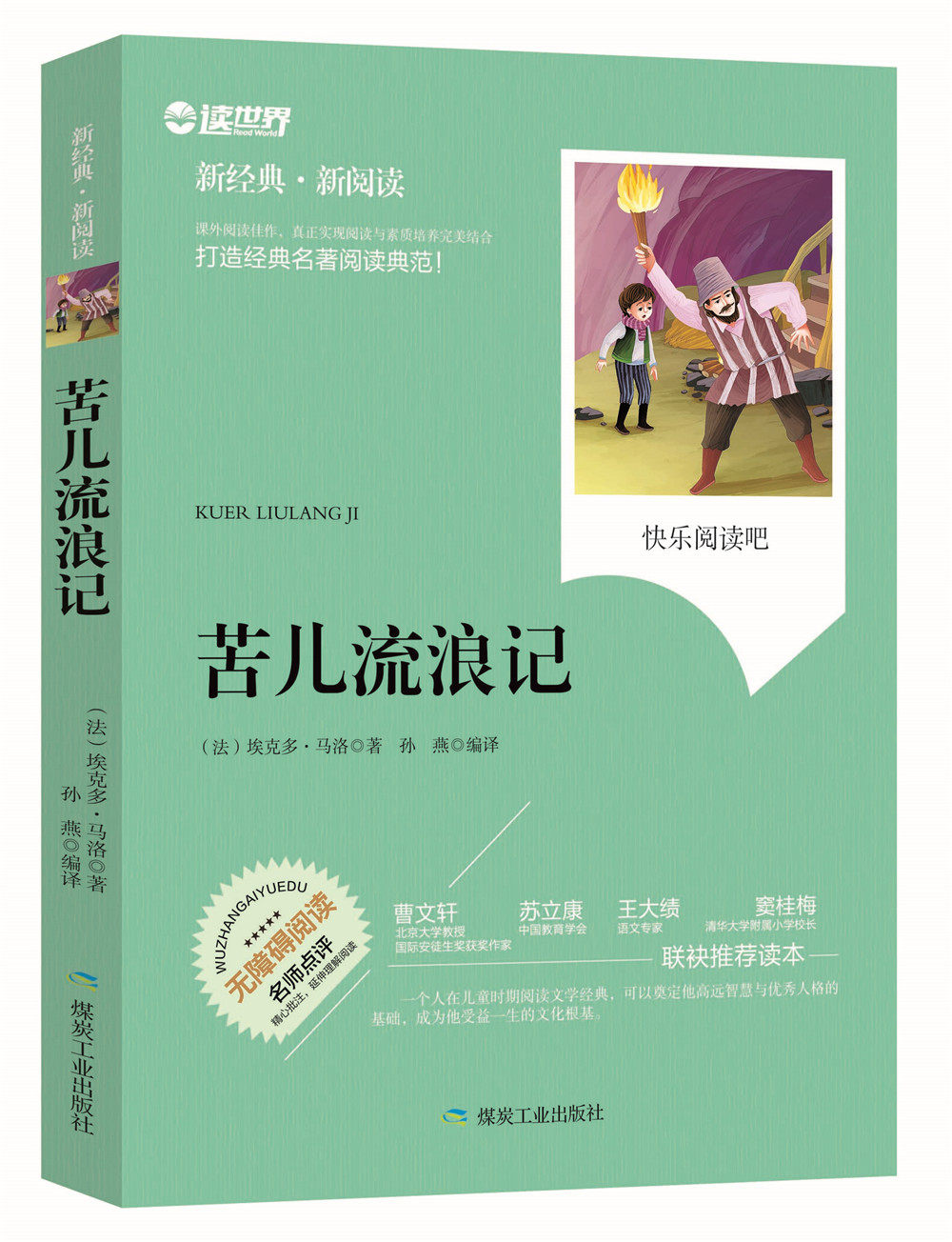 正版包邮 苦儿流浪记 无障碍拓展阅读新课标名师点评精心批注简易理解