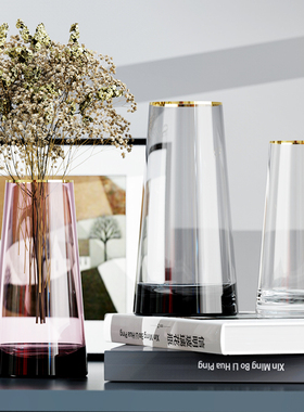 轻奢简约描金玻璃花瓶烟灰色客厅干花鲜花富贵竹插花花器北欧摆件