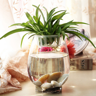大号玻璃水培植物花瓶花盆透明铜钱草绿萝富贵竹水养鱼缸器皿容器