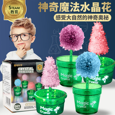 儿童科学实验种植水晶圣诞树手工生长结晶小学生益智玩具