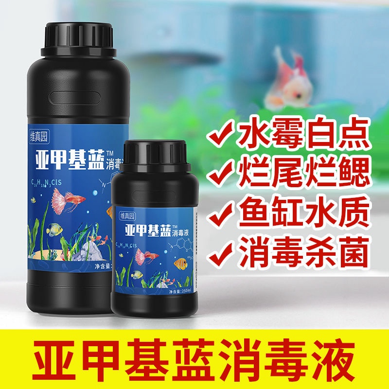 亚甲基蓝水族观赏鱼专用溶液鱼缸杀菌水霉病消毒白点净金鱼非鱼药