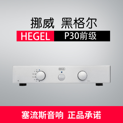 放大器发烧挪威音响HEGEL