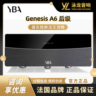 法国YBA（影音电器） A6 后级 Genesis创世纪系列 HIFI 发烧功放