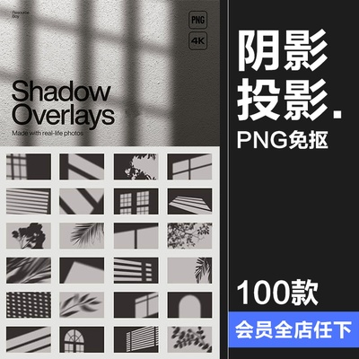 文艺阳光植物窗格阴影投影叠加背景底纹PNG免抠图片后期合成素材