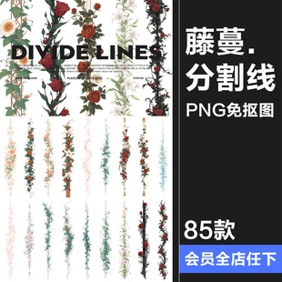 古风藤蔓花卉鲜花植物竖条形界限分割线边框美工手账PNG免抠素材