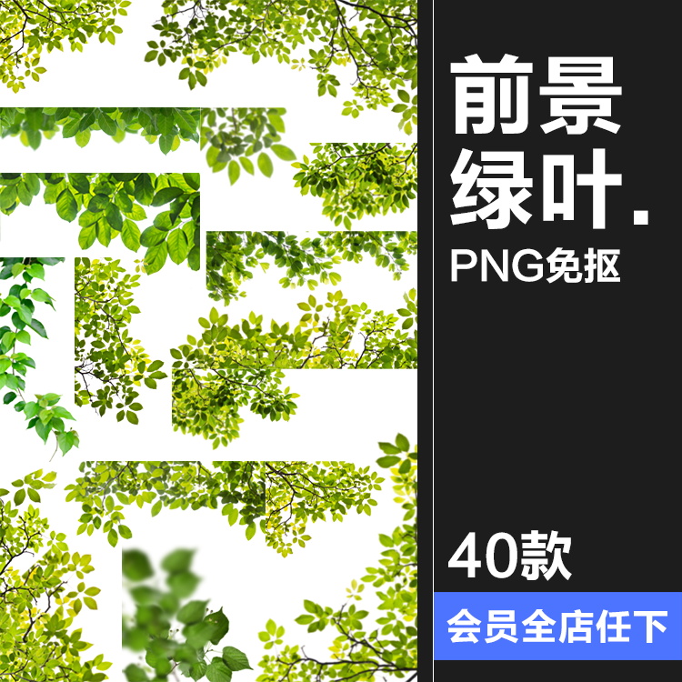 绿色植物树叶叶子点缀绿叶树枝模糊透明影楼免扣PNG图片PS素材