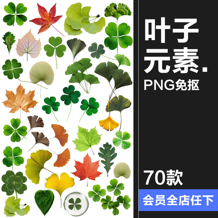 植物绿叶子四叶草杏叶枫叶电子手账png免扣装饰元素美工图片素材