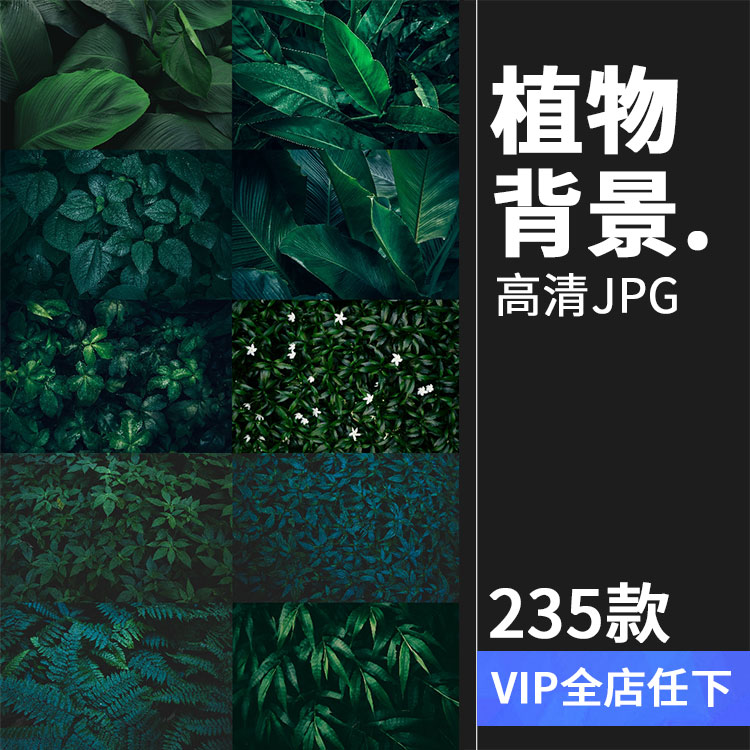 热带植物绿色植被叶子质感森系摄影质感背景底图高清JPG图片素材