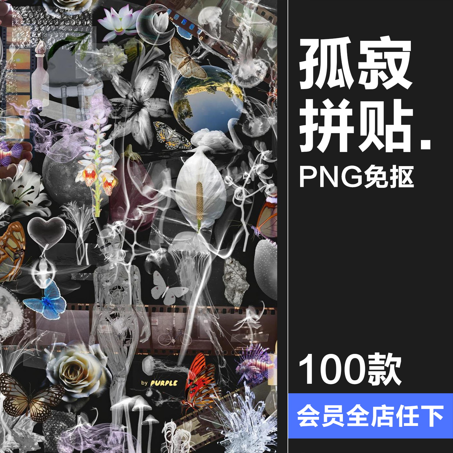 孤寂透明薄膜水汽烟雾空灵轮廓塑料花卉水晶PNG拼贴元素插图素材