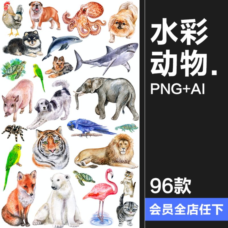 手绘水彩宠物猫狗鸟类熊猫大象野生动物插画AI矢量图PNG免抠素材