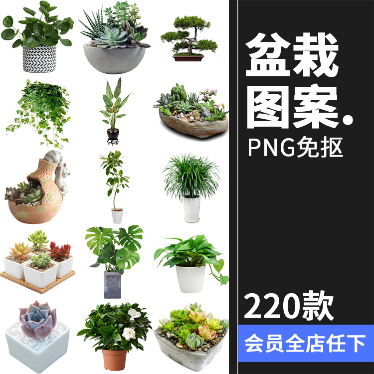 盆栽盆景景观绿植花草植物装饰摆件图片PNG免抠元素PS平面素材