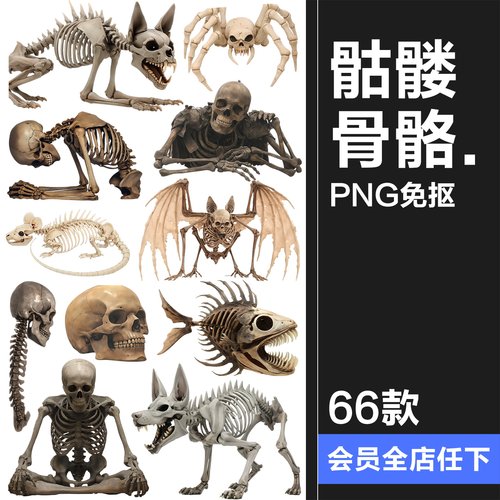 暗黑生物异形外星人物骸骨躯干骷髅标本装饰元素PNG免抠素材图片