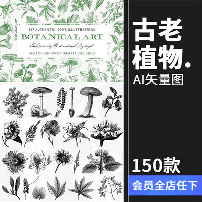 古董古老远古时代蕨类植物蘑菇菌类叶子设计插画素材合集AI矢量图