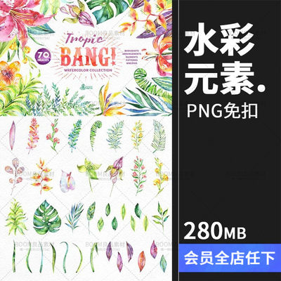 手绘水彩花朵热带蕨类植物花束花环绿叶贺卡海报免抠PNG设计素材