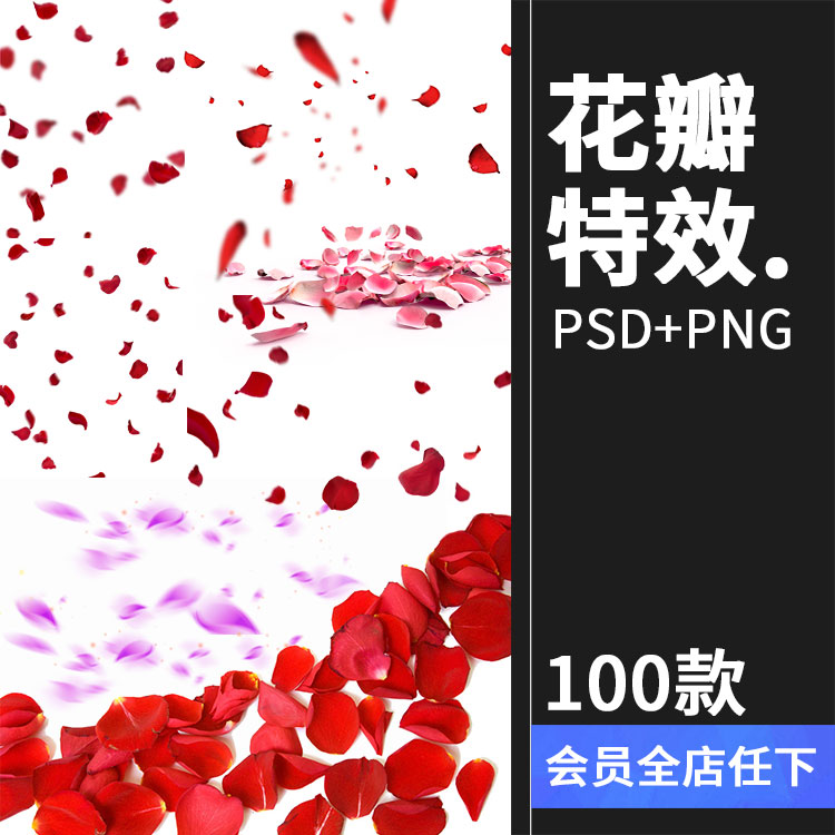 玫瑰花朵花瓣飘散落散花特效png高清免抠图psd婚纱照设计素材