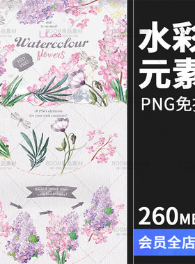 紫色薰衣草优雅唯美彩色手绘植物生日贺卡免扣PNG设计元素PS素材