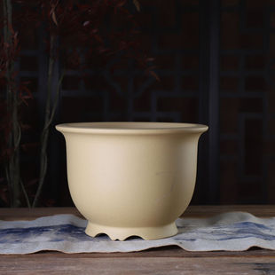 宜兴紫砂花盆绿植大号兰花盆春兰 矮胖大金钟透气