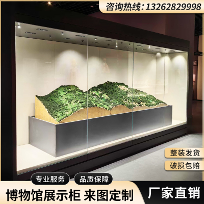 博物馆玻璃展示柜大型通柜