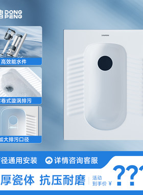 东鹏(DONGPENG)蹲便器蹲坑式家用防臭卫生间大便器便池水箱整套装