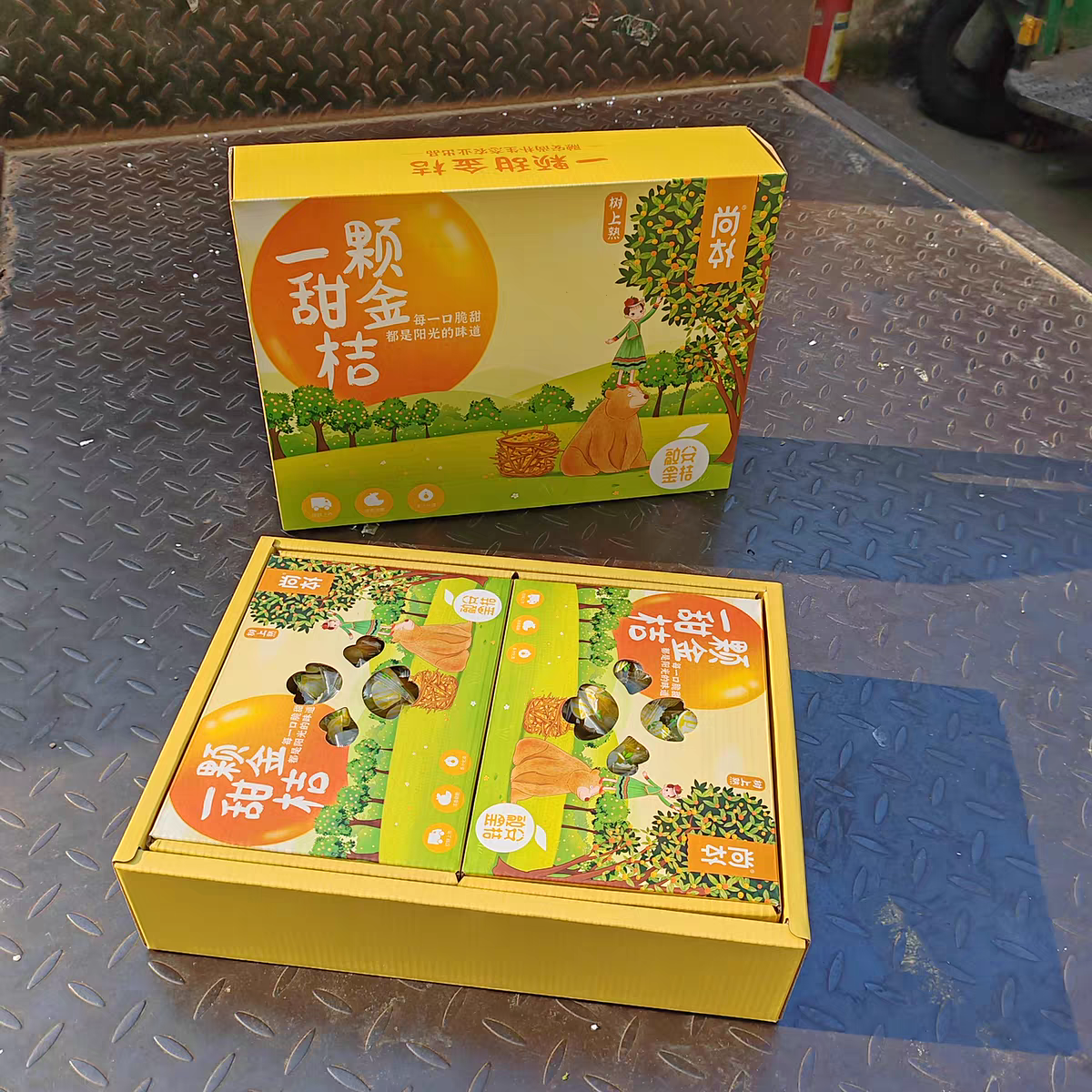 广西融安一颗甜金桔2合一