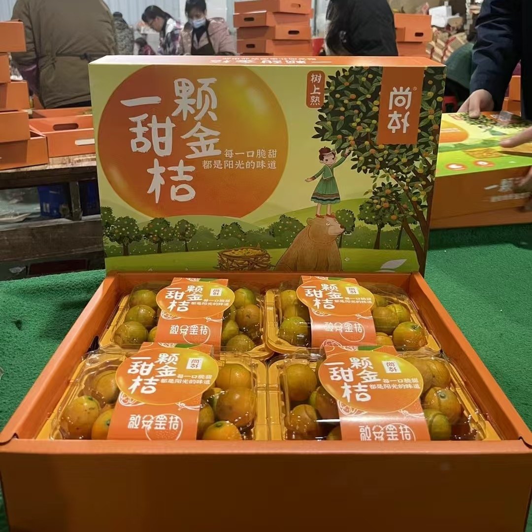 融安滑皮金桔礼盒装 四合一广西新鲜金橘水果顺丰包邮,水产肉类/新鲜蔬果/熟食,桔子,淘宝优惠券,粉丝福利购,淘宝优惠卷