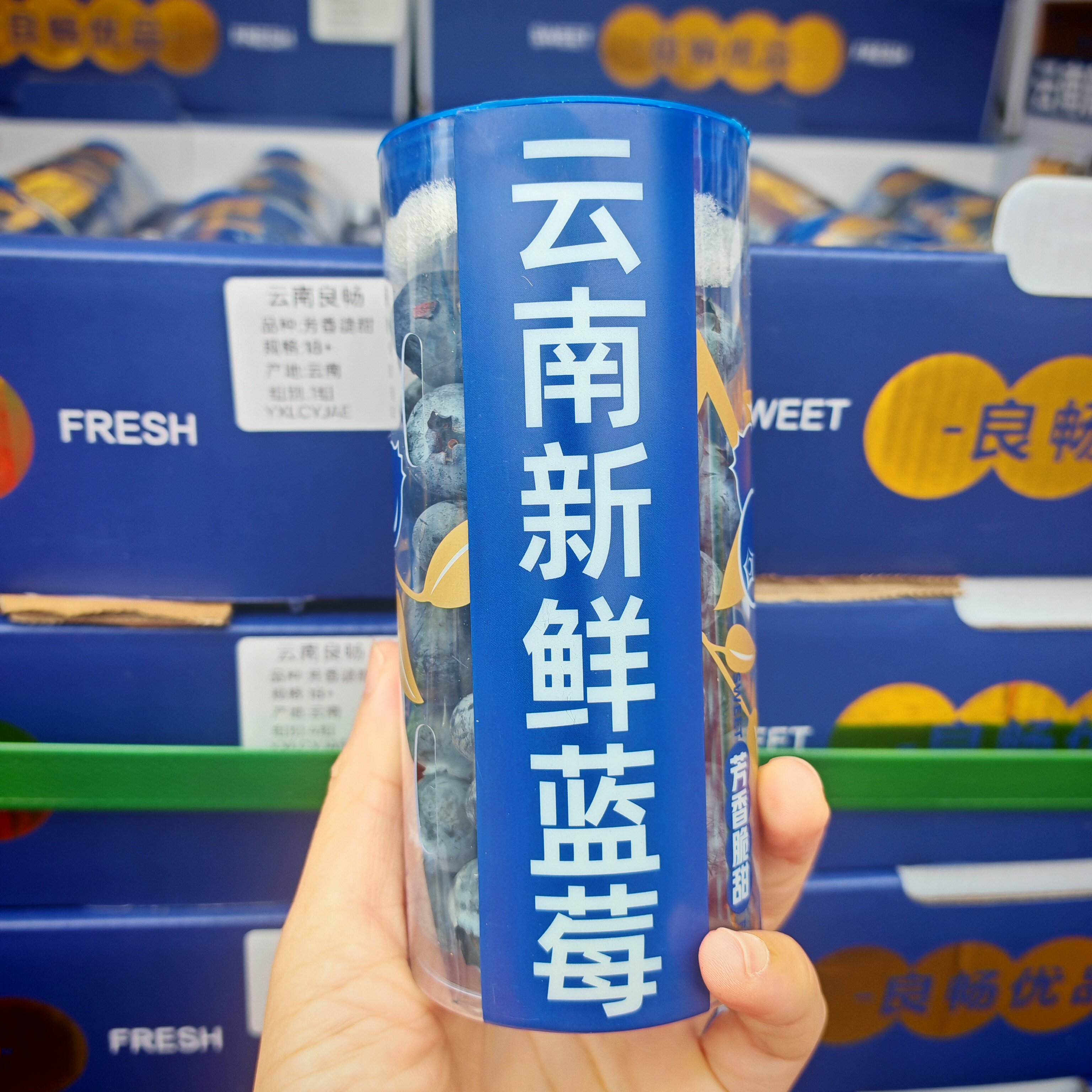 云南蓝莓脆脆莓当季新鲜孕妇水果蓝莓顺丰包邮,水产肉类/新鲜蔬果/熟食,蓝莓,淘宝优惠券,粉丝福利购,淘宝优惠卷