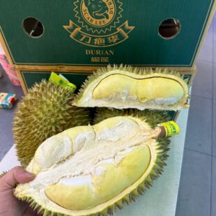 （需判断生熟）当季泰国刀疤李榴莲树上熟金枕榴莲干包糯甜3-4颗