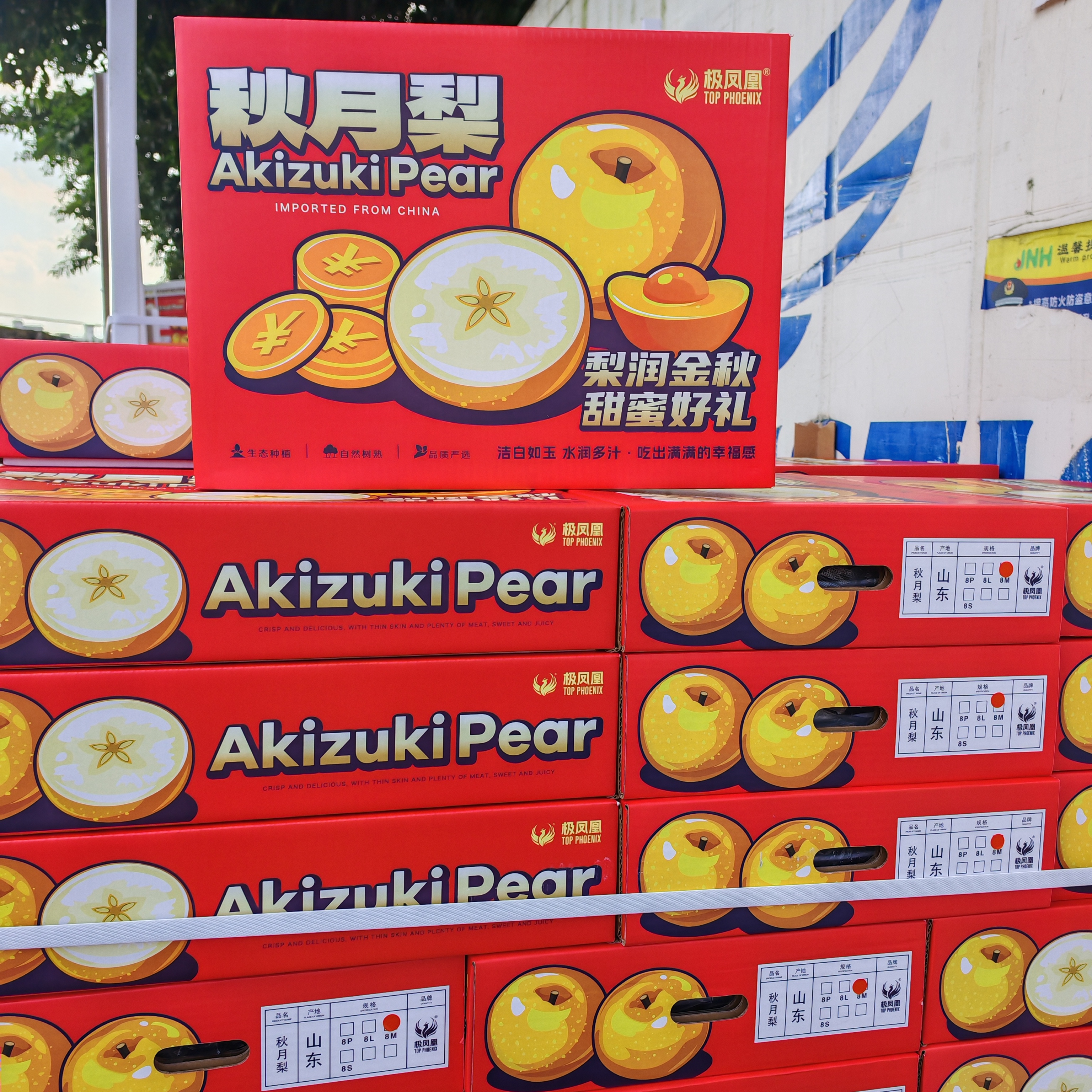 顺丰包邮极凤凰冰糖秋月梨