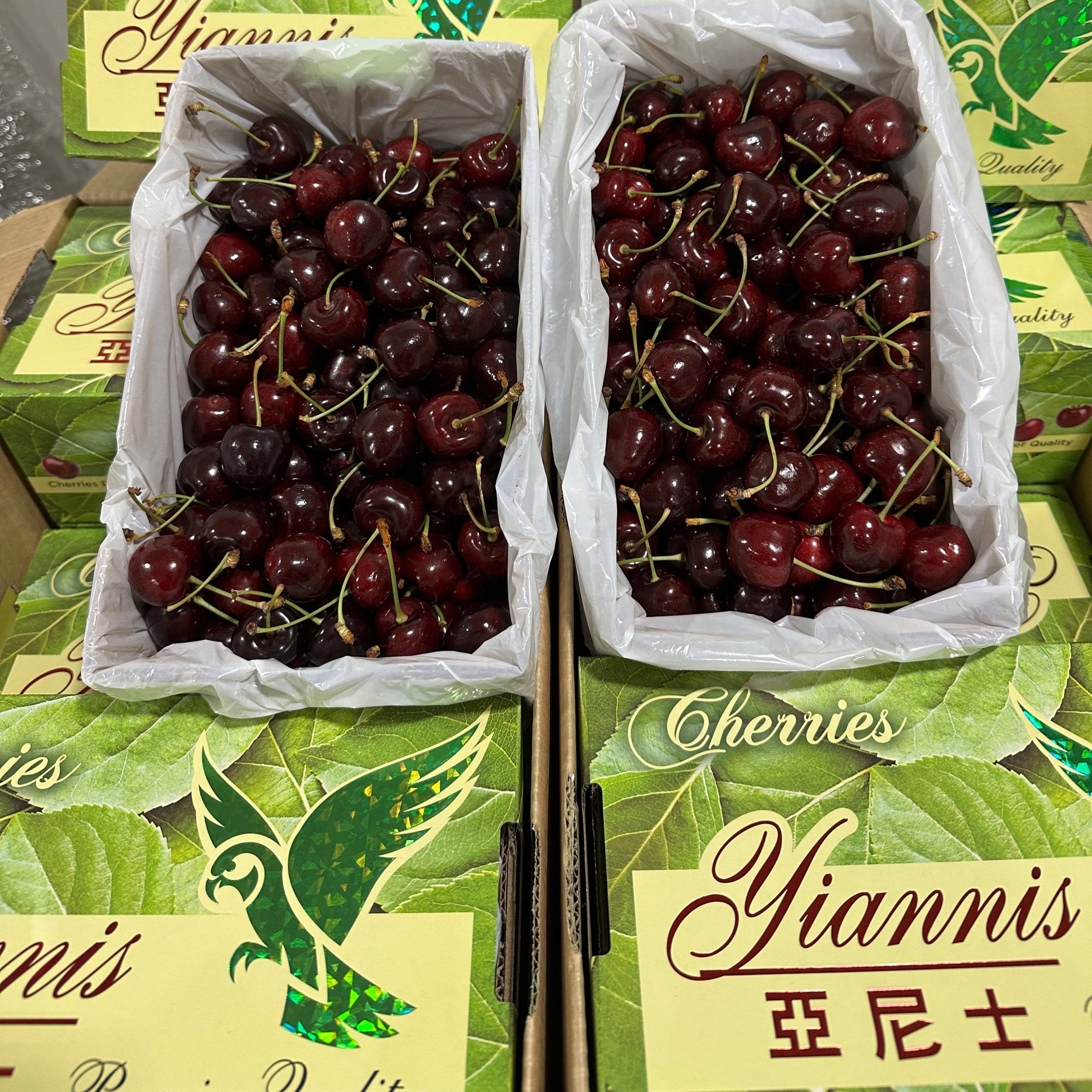 （礼盒送礼）新西兰亚尼士车厘子4斤原箱当季新鲜樱桃进口水果,水产肉类/新鲜蔬果/熟食,车厘子/樱桃,淘宝优惠券,粉丝福利购,淘宝优惠卷