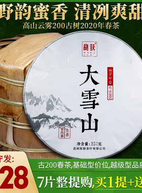 拍1得8！ 勐获2020大雪山古树头春茶云南普洱茶生茶饼七子饼2499g