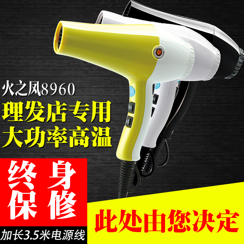 »ðÖ®·ï8960´µ·ç»ú»ð·ï»Ëרҵ´ó¹¦ÂÊ·¢ÀȵêÀäÈÈ·ç¼ÒÓõ紵·çͲÕýÆ·