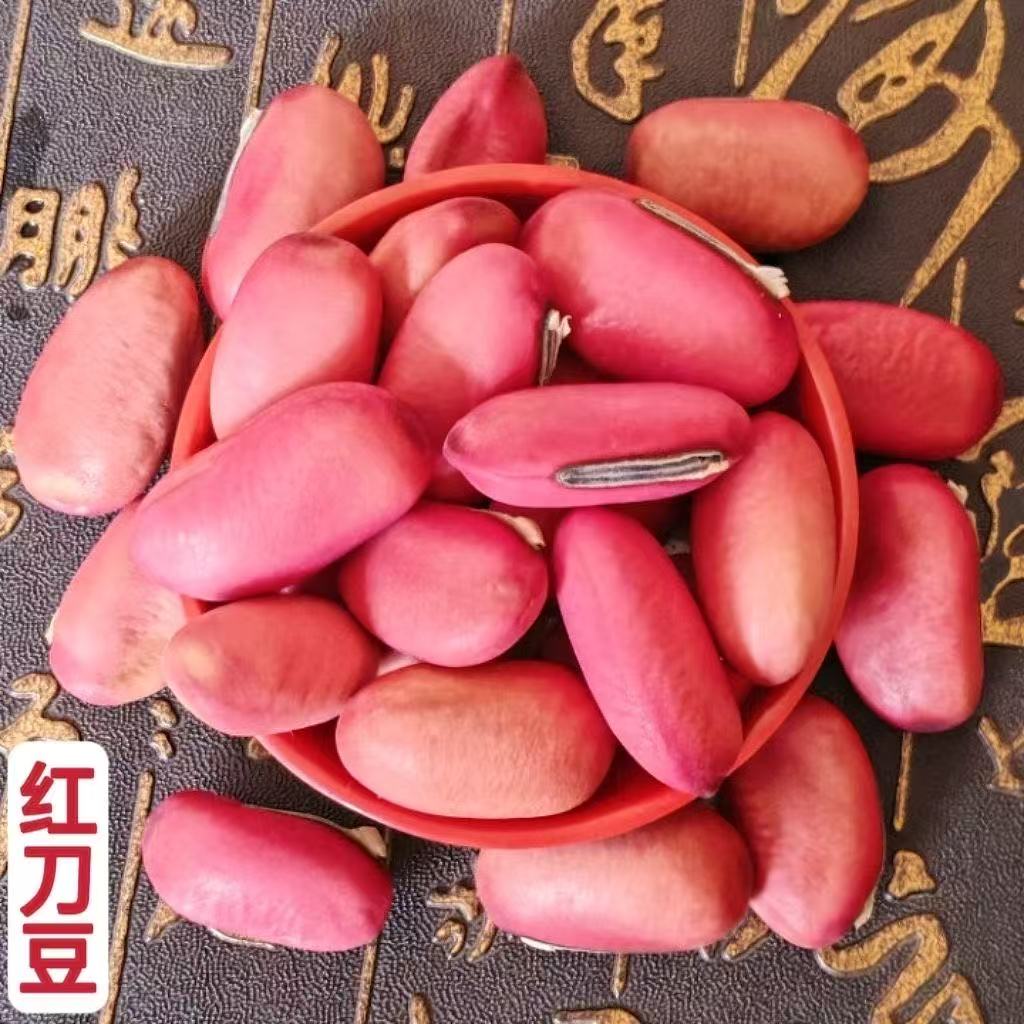 红刀豆 刀豆农家刀豆子 新货红皮刀豆非野生中药材正品广西红刀豆