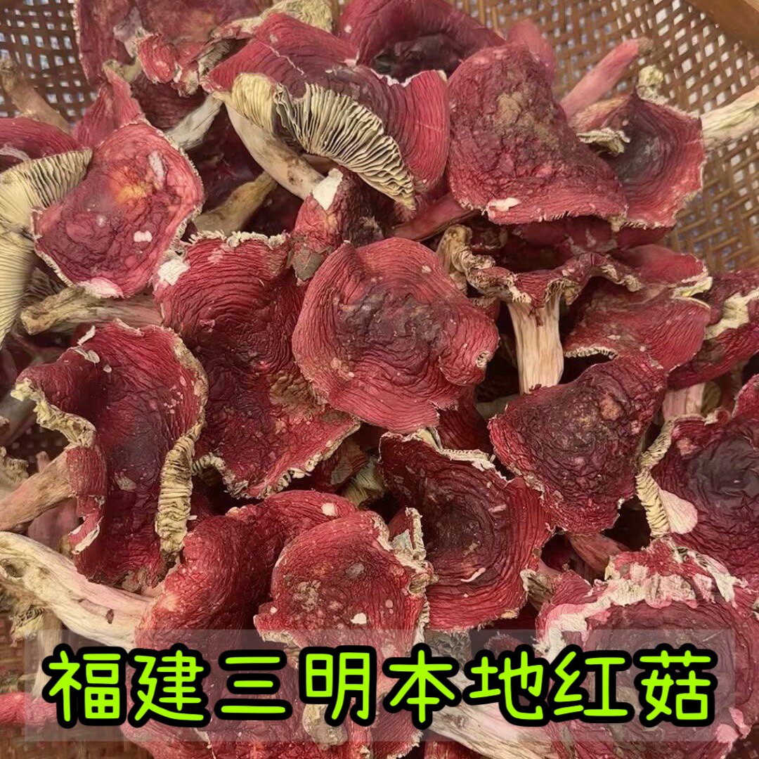 福建三明永安本地红菇250g