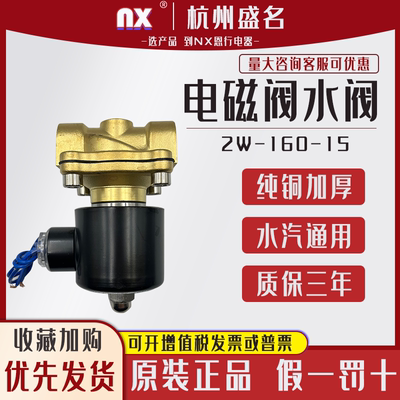 杭州盛名电磁阀水阀2W-160-15