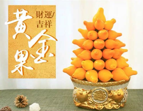 黄金果盆栽五代同堂乳茄果长寿果