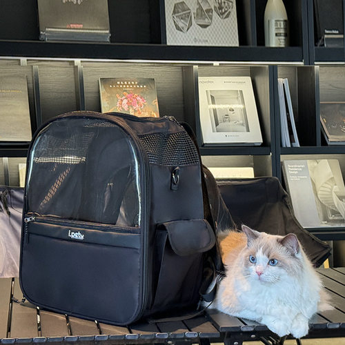 现货亚马逊猫包可拓展透气外出便携大空间猫咪背包透明宠物包狗包